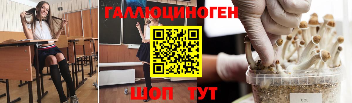 Псилоцибиновые грибы ЛСД Назарово